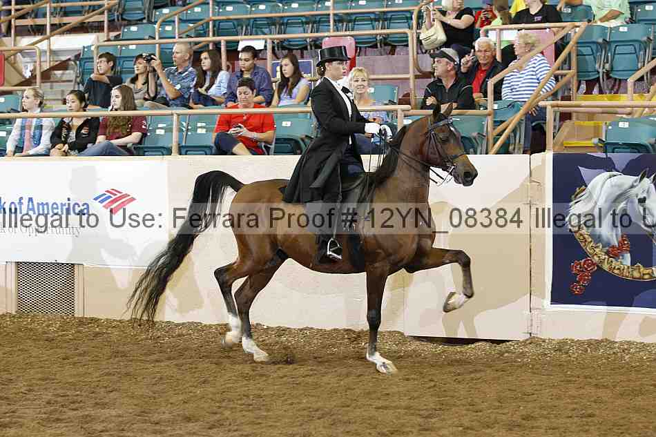 Proof 12yn_08384