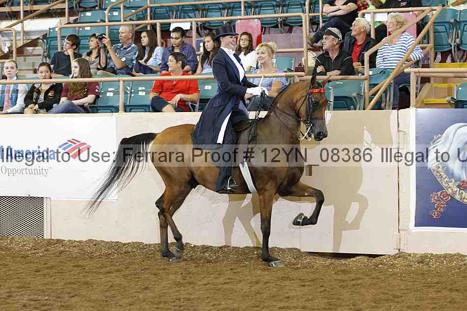 Proof 12yn_08386