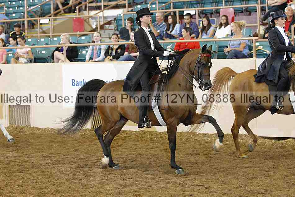 Proof 12yn_08388