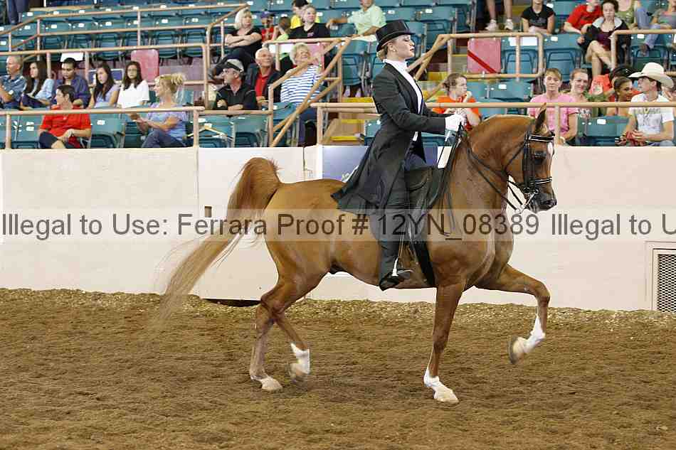 Proof 12yn_08389