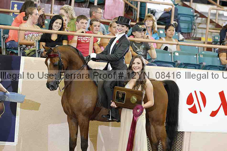 Proof 12yn_08416