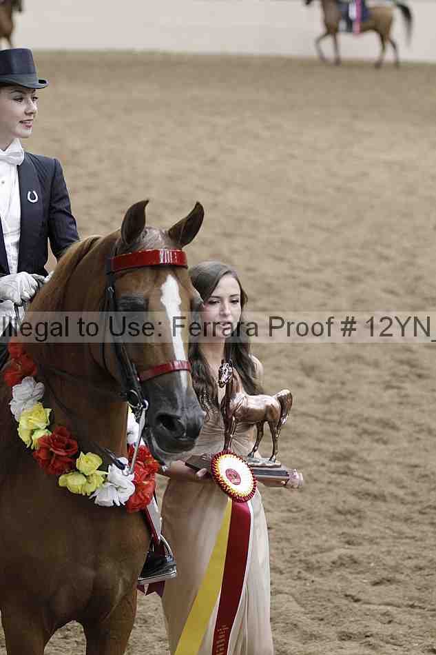 Proof 12yn_08434