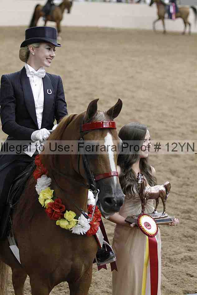 Proof 12yn_08435