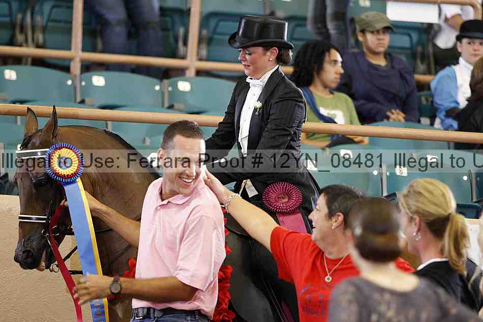 Proof 12yn_08481