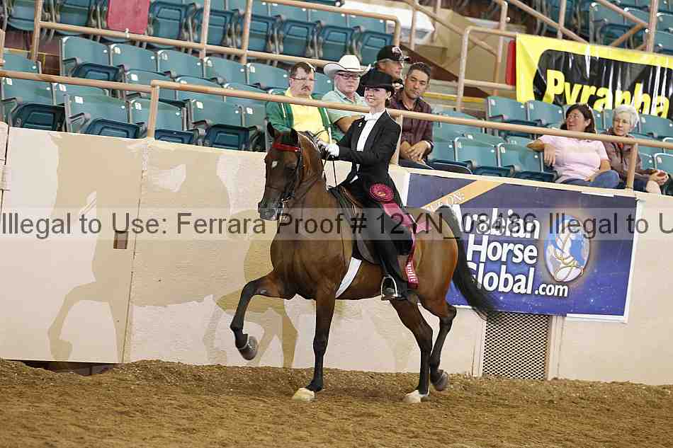 Proof 12yn_08486