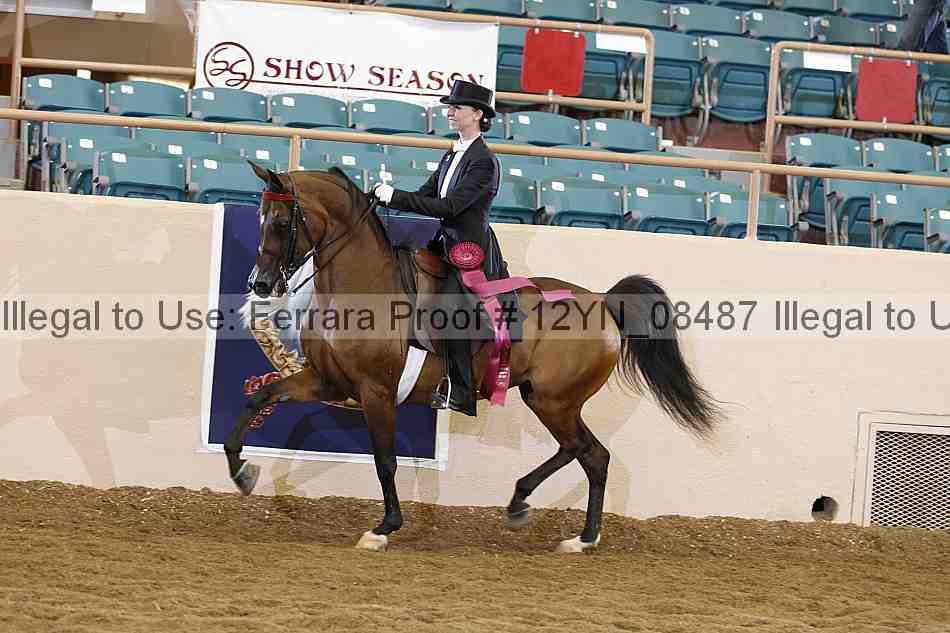 Proof 12yn_08487