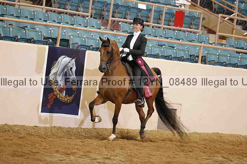 Proof 12yn_08489