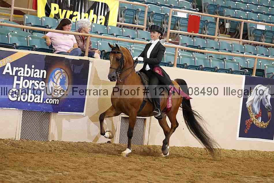 Proof 12yn_08490