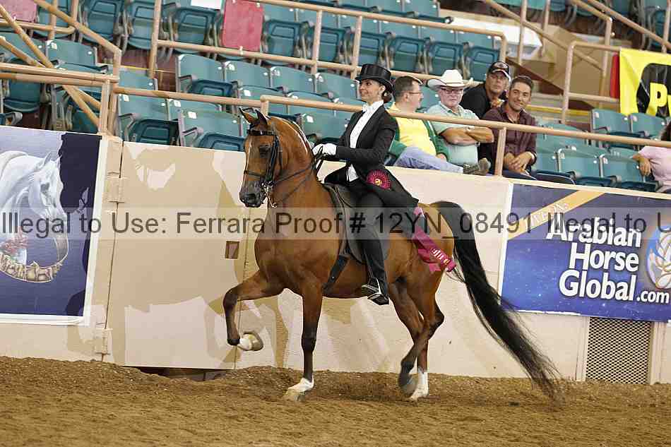 Proof 12yn_08491