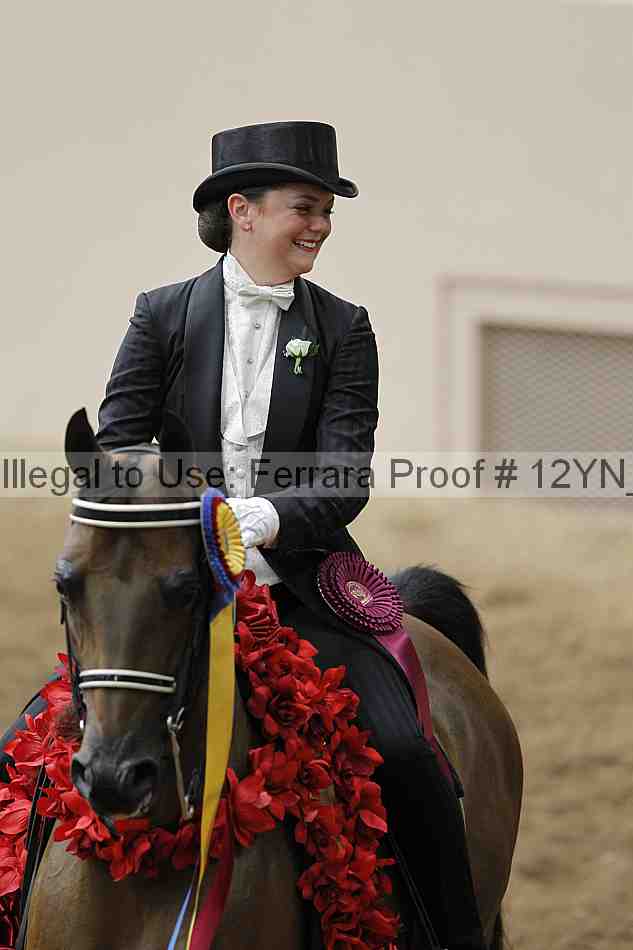 Proof 12yn_08495