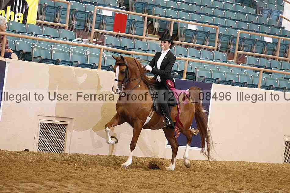 Proof 12yn_08496