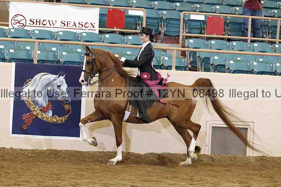 Proof 12yn_08498