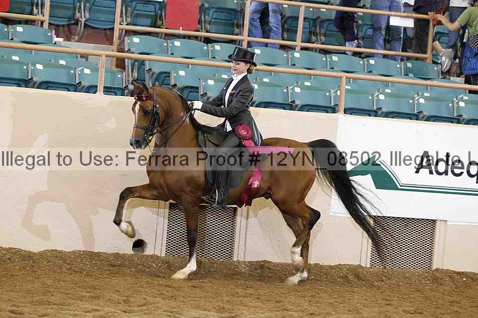 Proof 12yn_08502