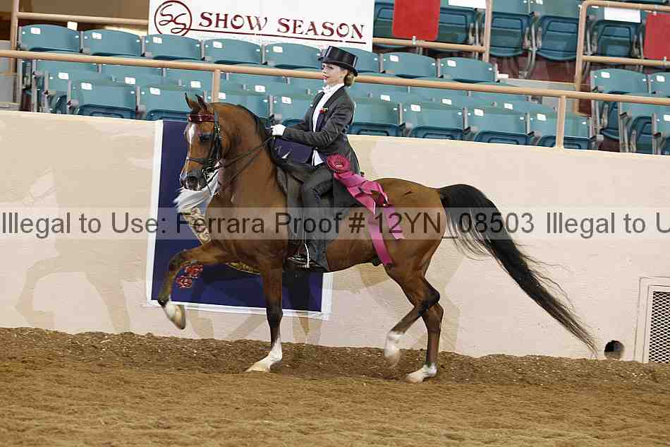 Proof 12yn_08503