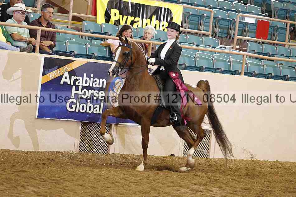 Proof 12yn_08504