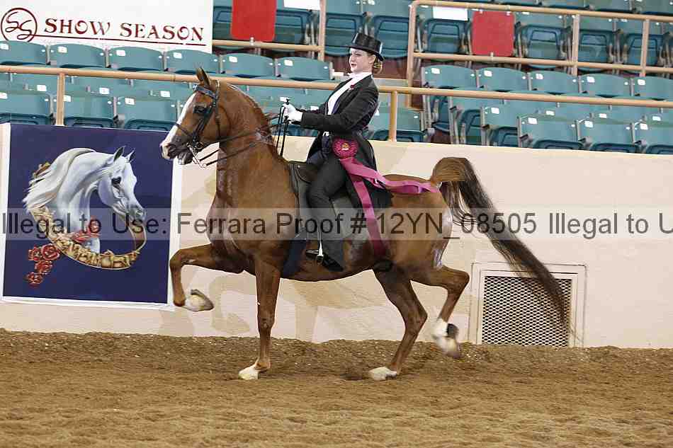 Proof 12yn_08505