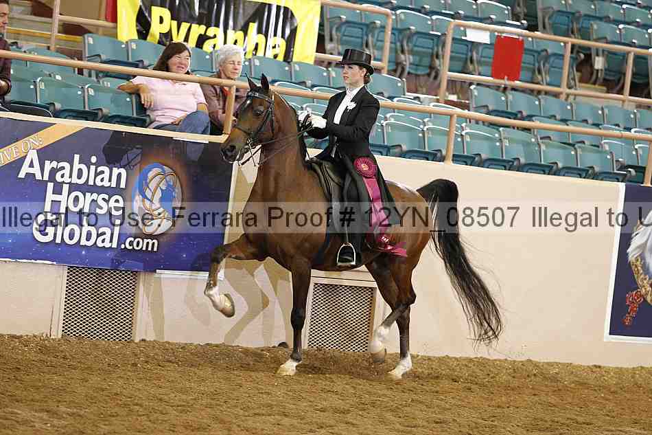 Proof 12yn_08507