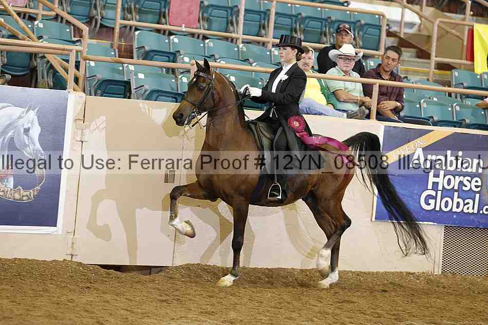 Proof 12yn_08508