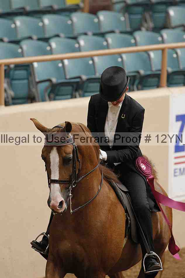 Proof 12yn_08509