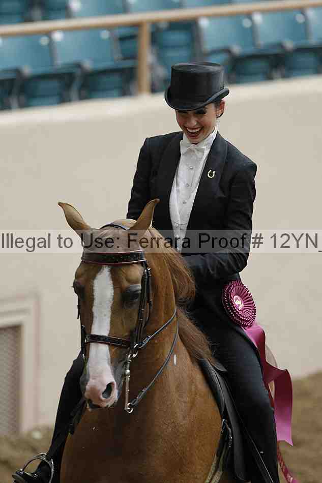 Proof 12yn_08510