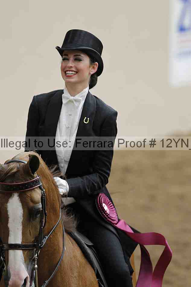 Proof 12yn_08511