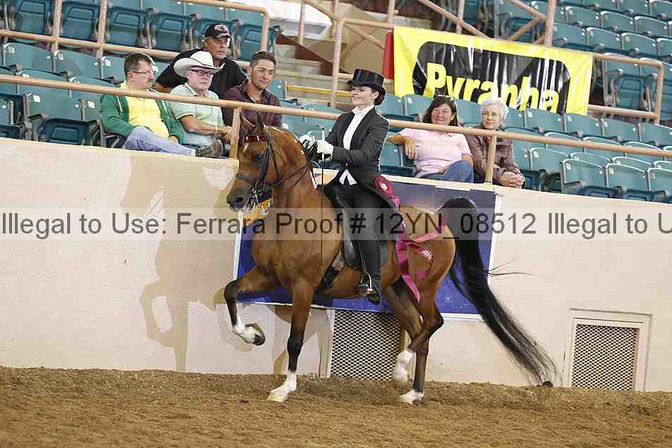 Proof 12yn_08512