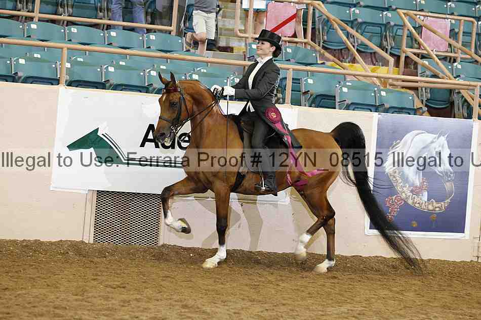 Proof 12yn_08515