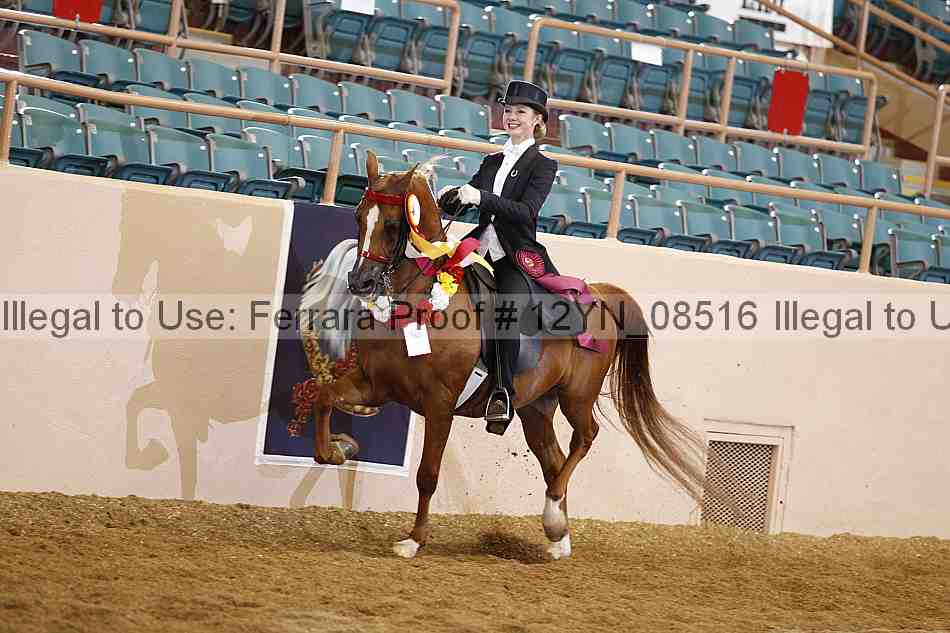 Proof 12yn_08516