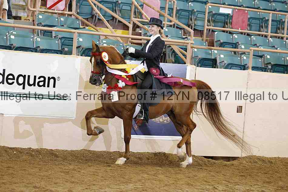 Proof 12yn_08517