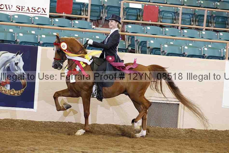 Proof 12yn_08518
