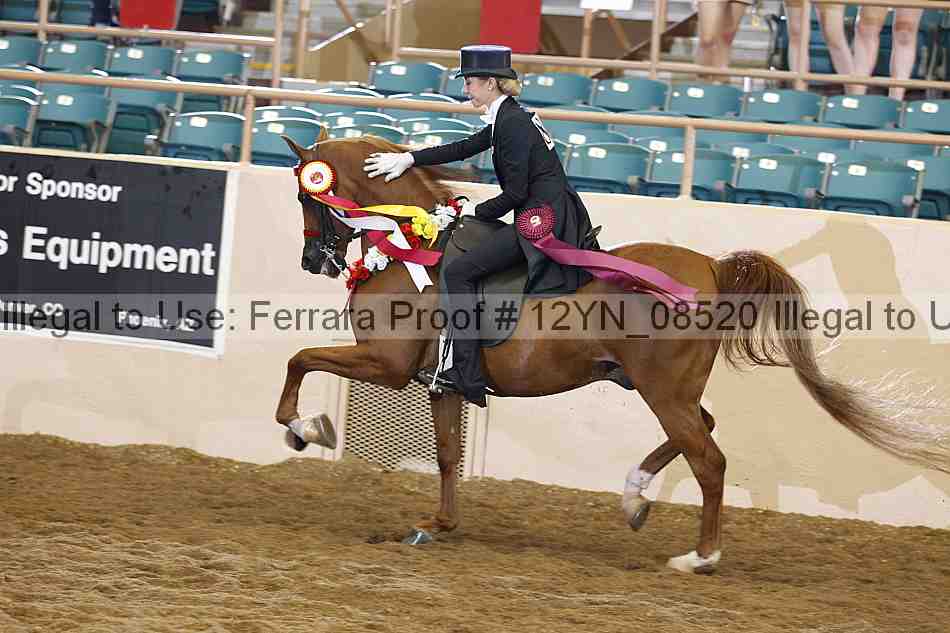 Proof 12yn_08520