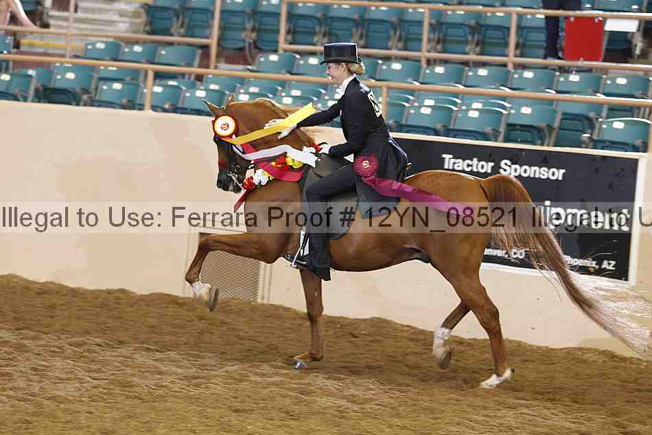 Proof 12yn_08521