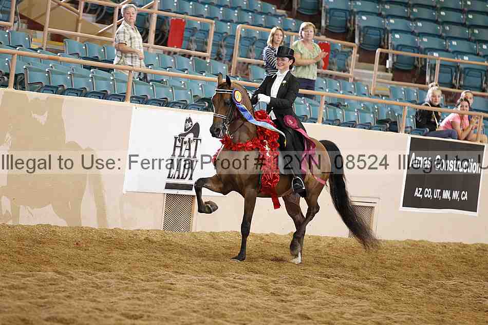 Proof 12yn_08524