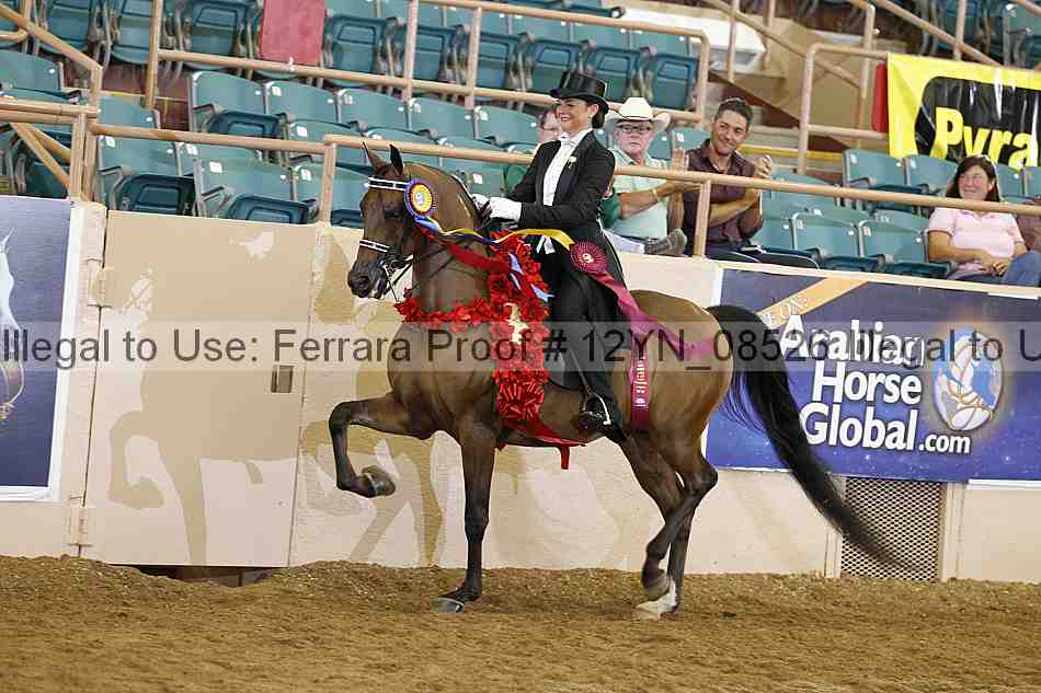 Proof 12yn_08526