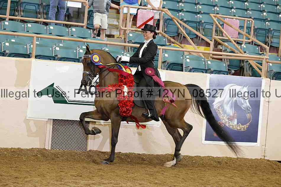 Proof 12yn_08527