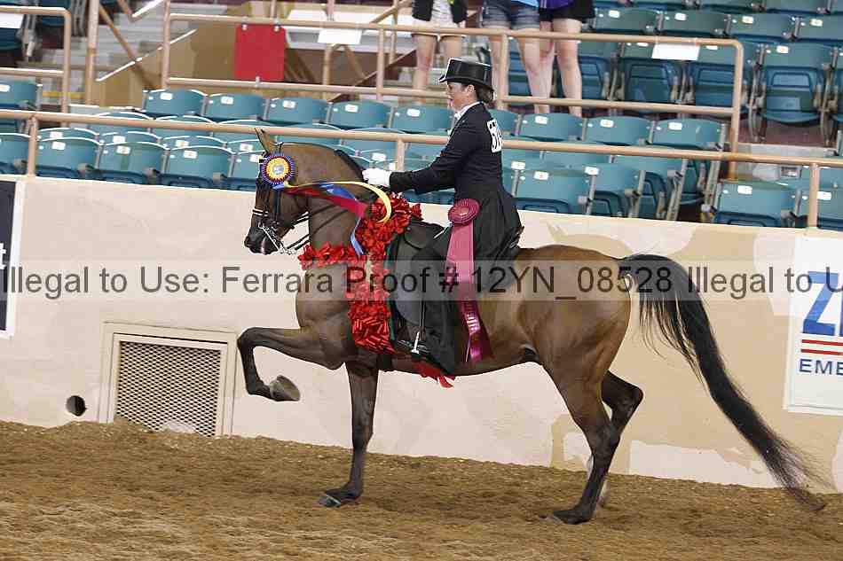 Proof 12yn_08528