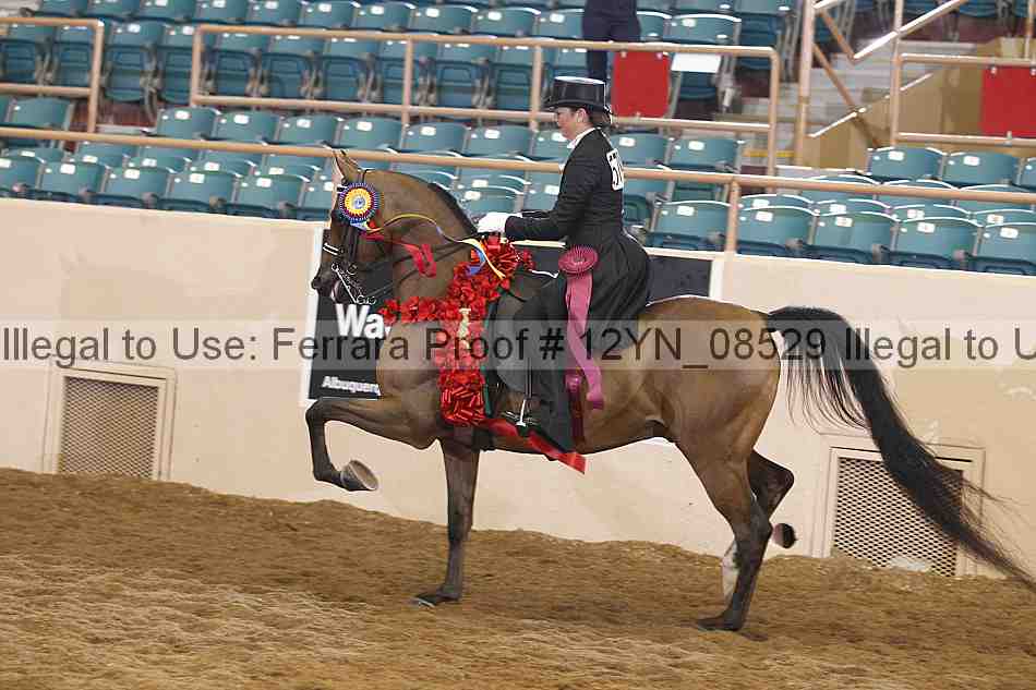 Proof 12yn_08529