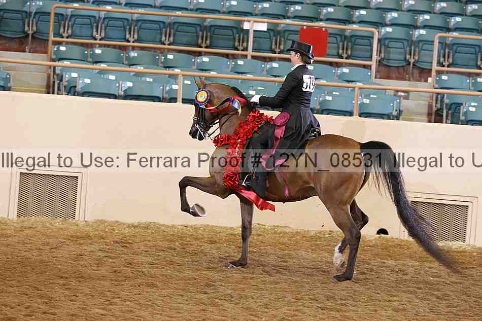 Proof 12yn_08531