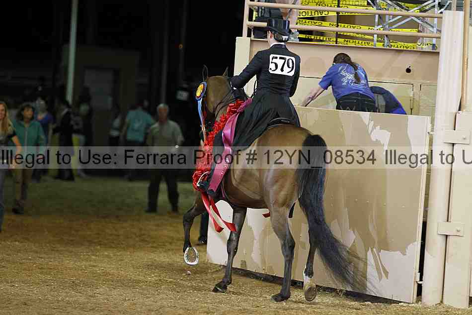 Proof 12yn_08534