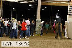 12yn_08536 proof