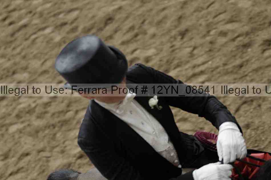 Proof 12yn_08541