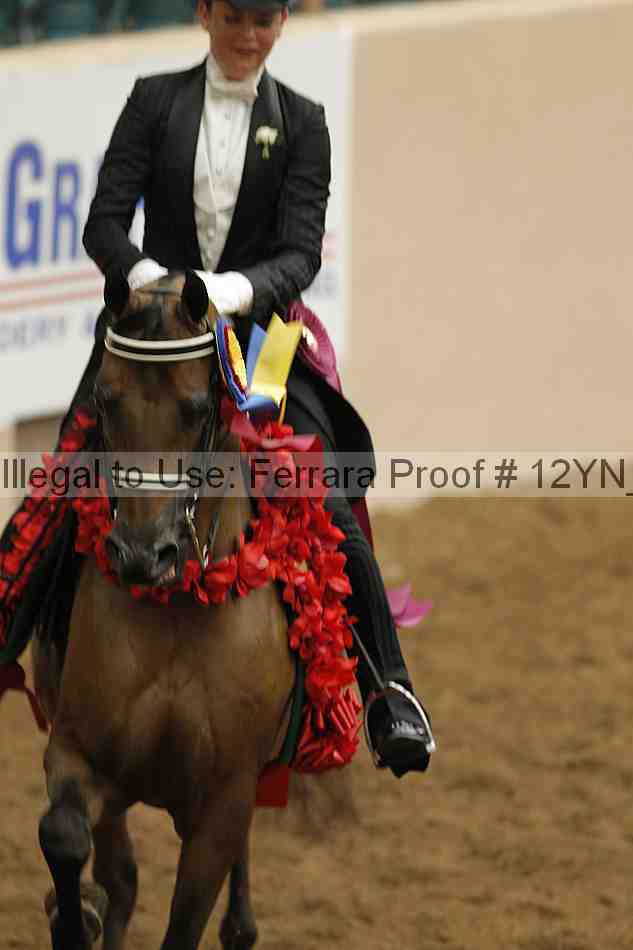 Proof 12yn_08543