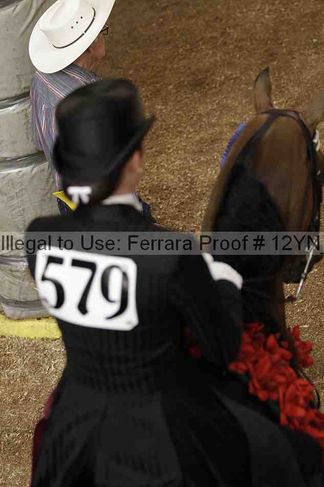 Proof 12yn_08544