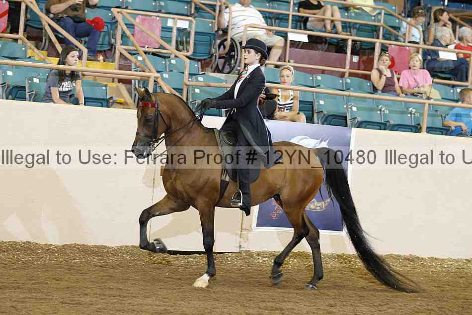 Proof 12yn_10480