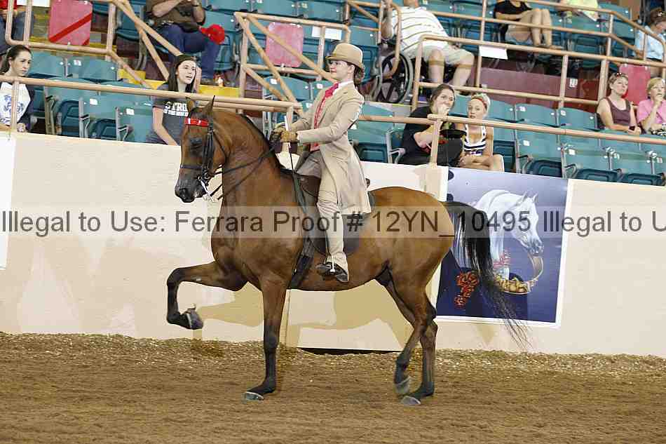 Proof 12yn_10495