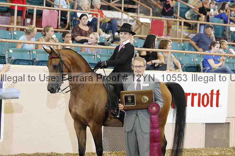 Proof 12yn_10553