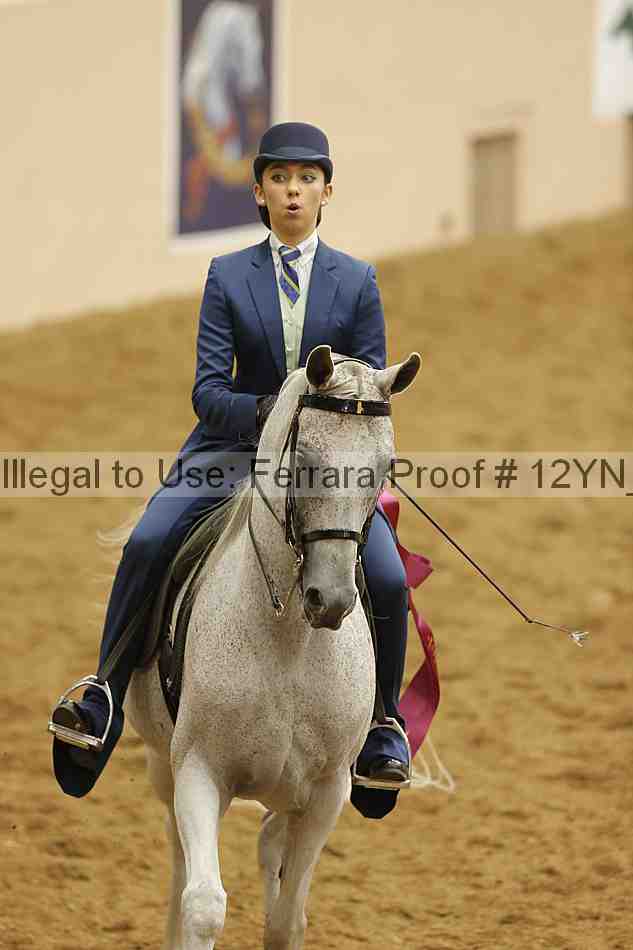 Proof 12yn_10609