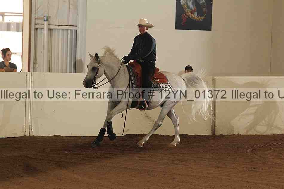 Proof 12yn_01372