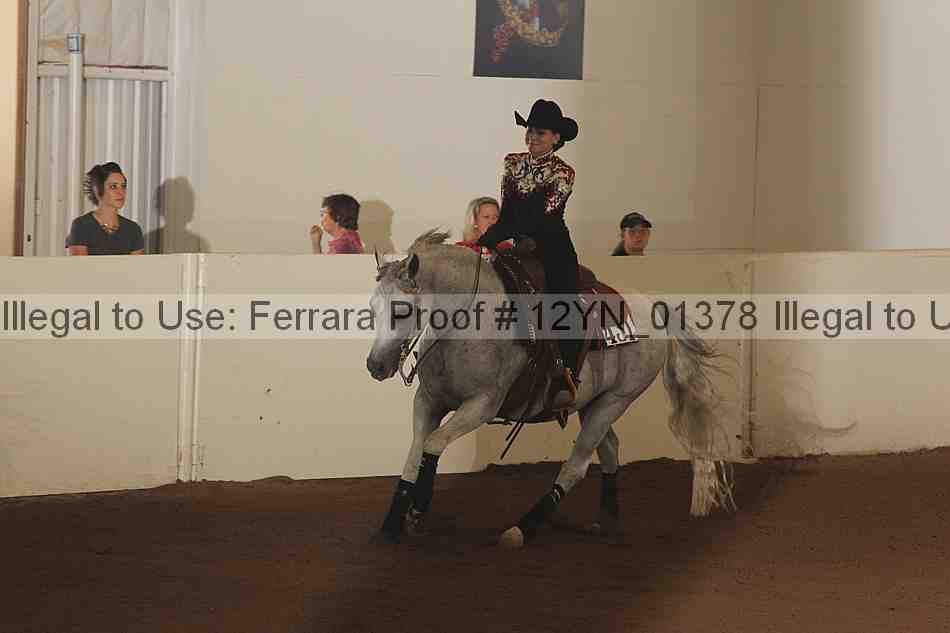 Proof 12yn_01378