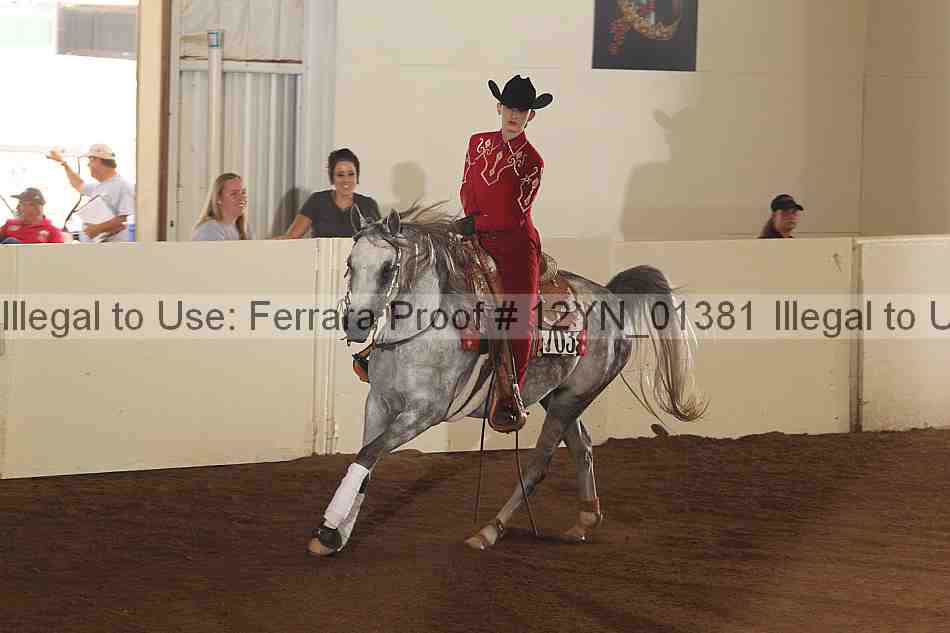 Proof 12yn_01381